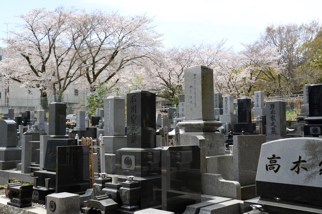 家族墓地　神奈川県　南足柄