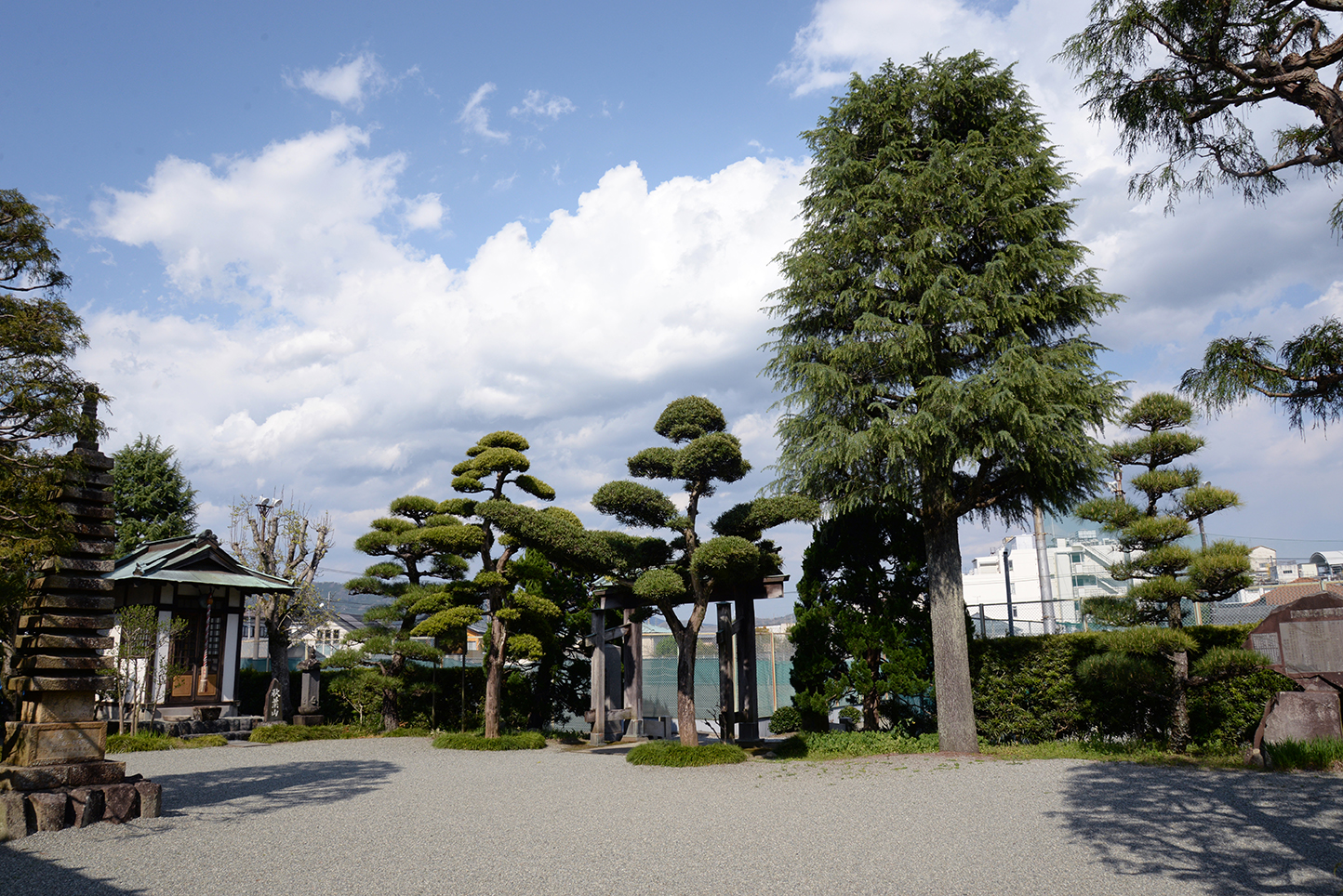 お寺　交通案内　金剛寺　神奈川県　南足柄