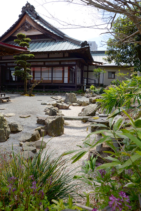 南足柄金剛寺 - 枯山水「桃源の庭」