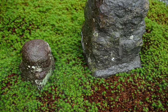 南足柄金剛寺 - 枯山水「桃源の庭」