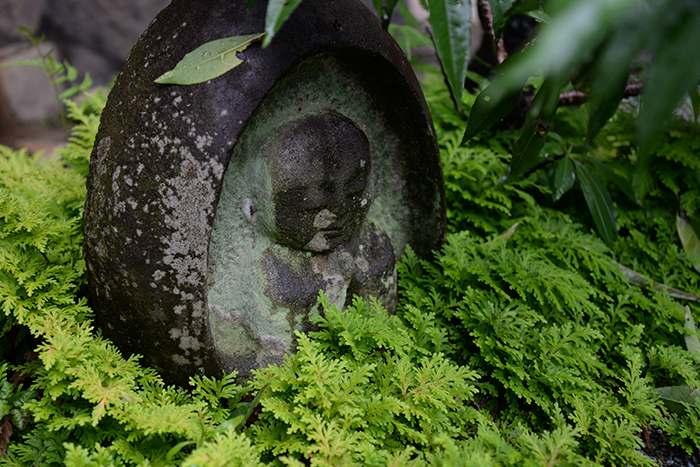 南足柄金剛寺 - 枯山水「桃源の庭」