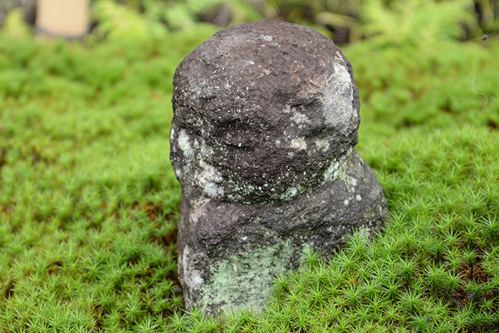 南足柄金剛寺 - 枯山水「桃源の庭」