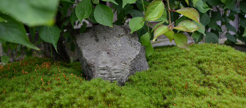 南足柄金剛寺 - わらべ地蔵