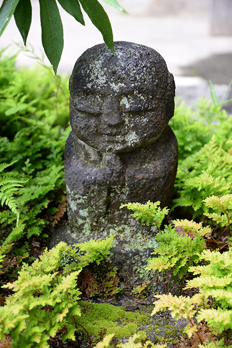 南足柄金剛寺 - 枯山水「桃源の庭」