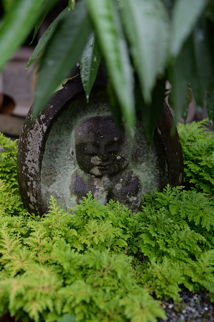 南足柄金剛寺 - 枯山水「桃源の庭」